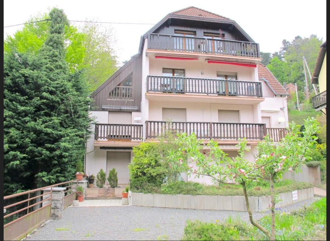 Studio Le Manet Appartement Le Hohwald Buitenkant foto